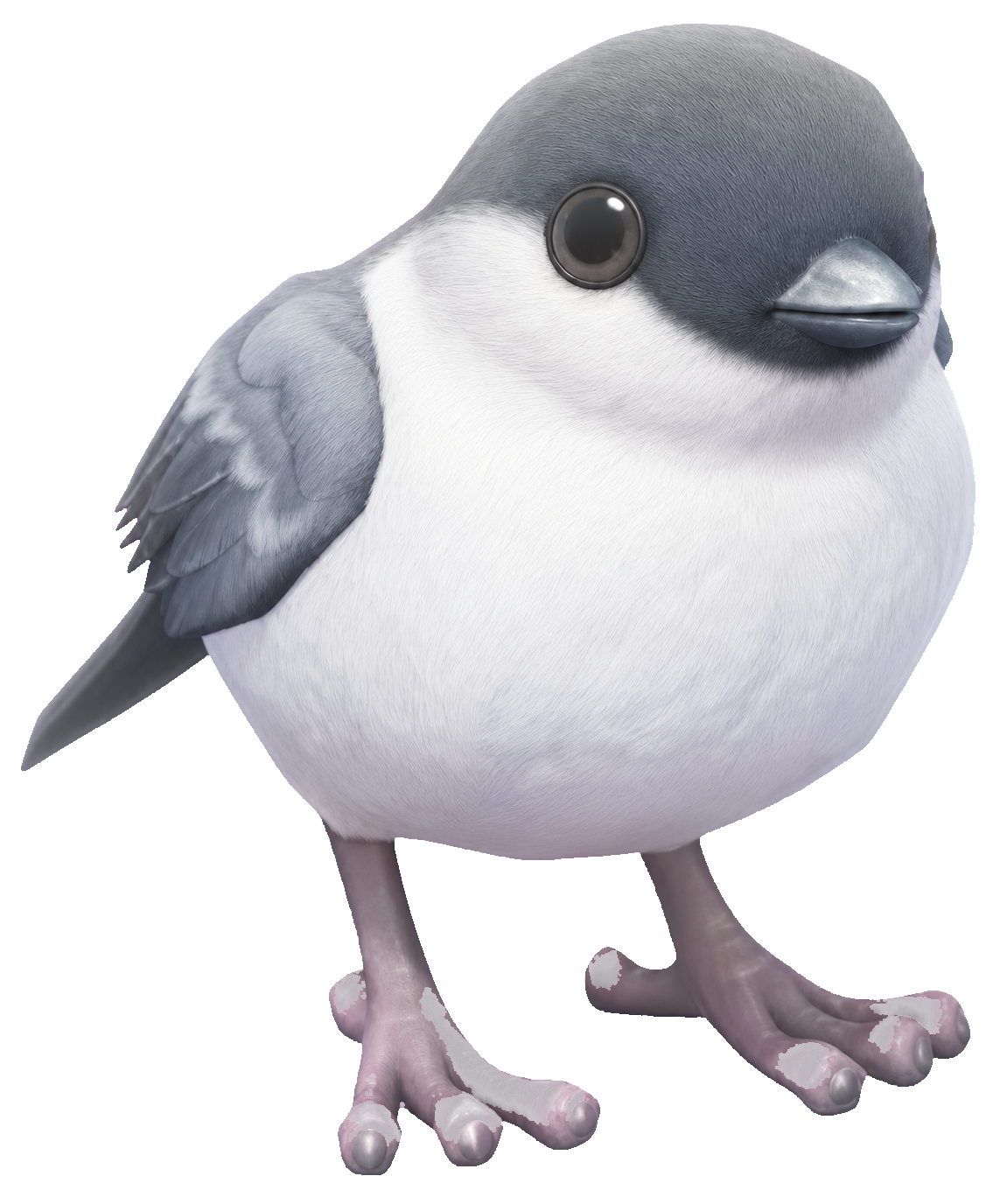 Oiseau Bouvreuil dans Heartopia