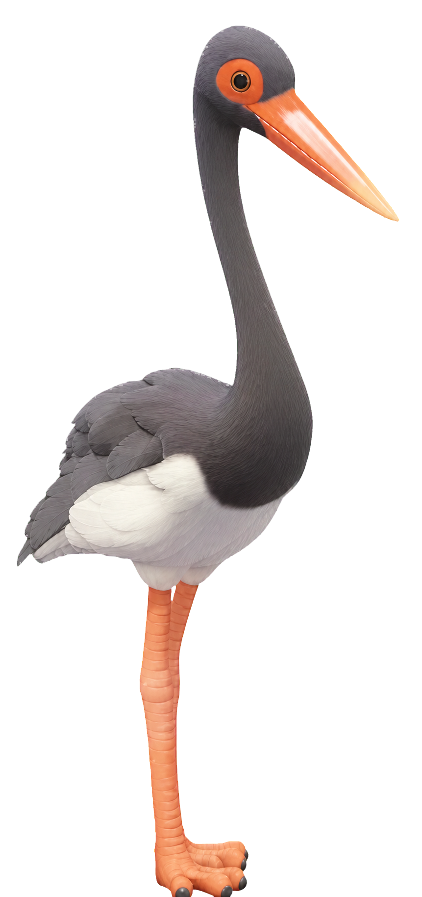 Oiseau Cigogne noire dans Heartopia