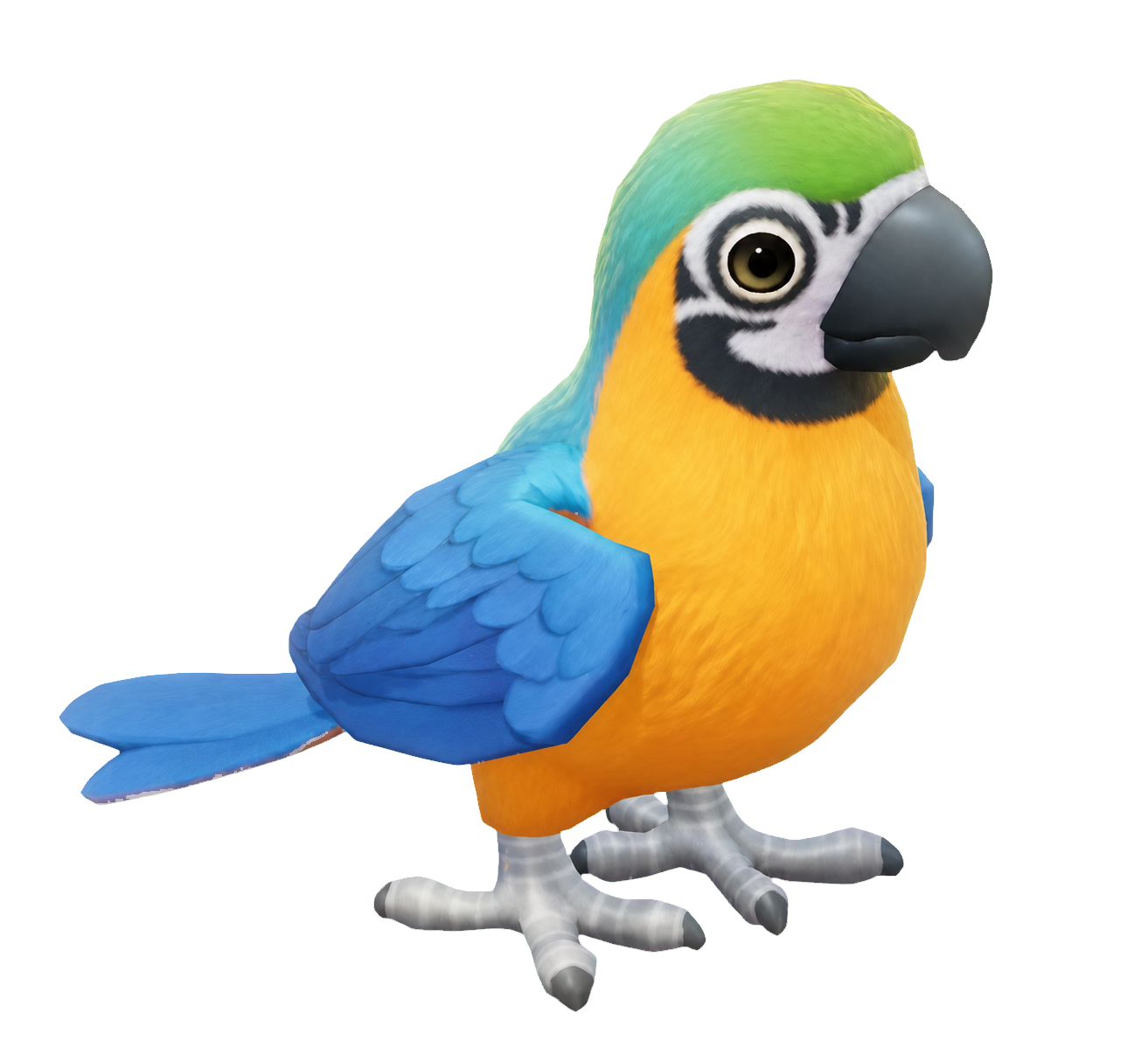 Oiseau Ara bleu et jaune dans Heartopia