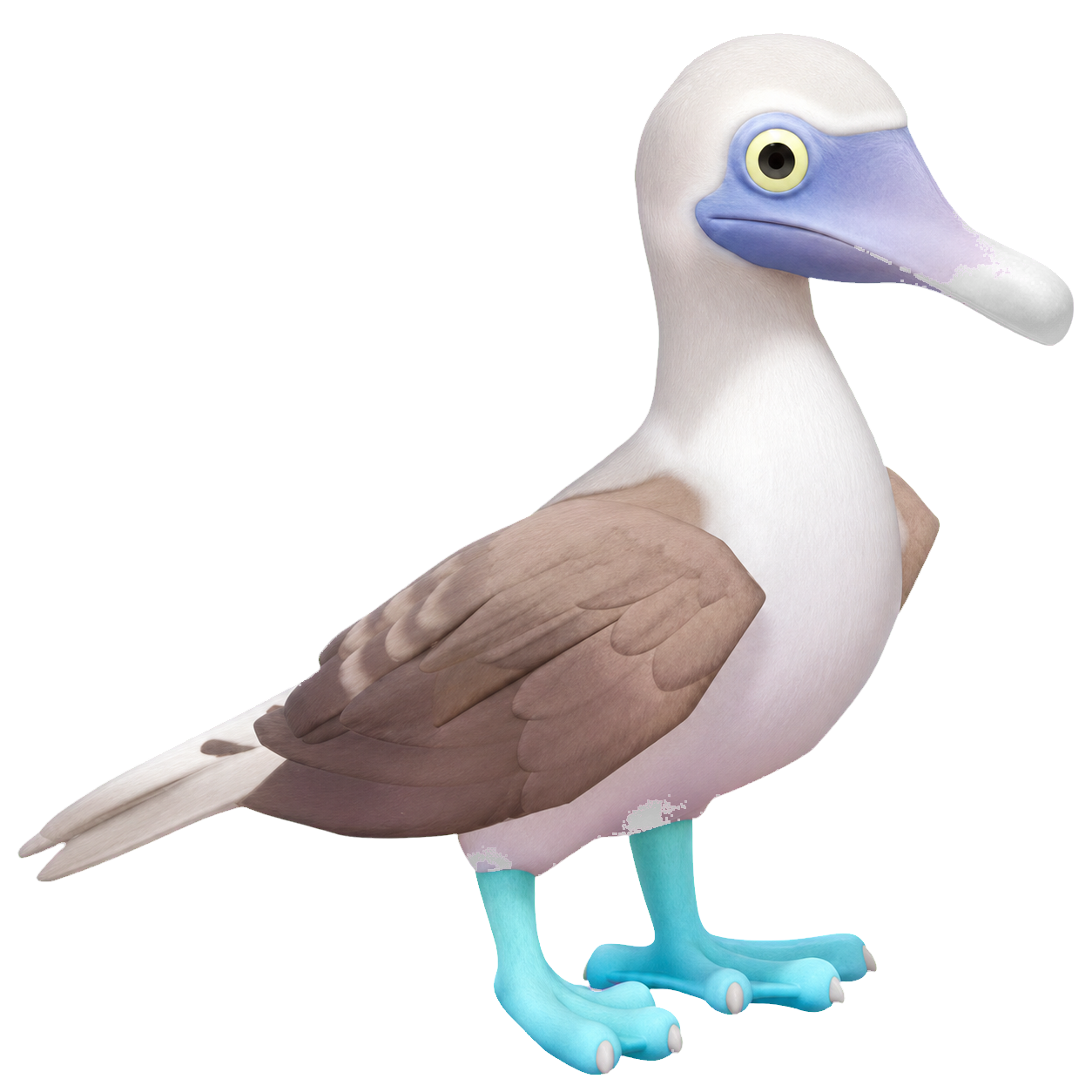 Oiseau Fou à pieds bleus dans Heartopia