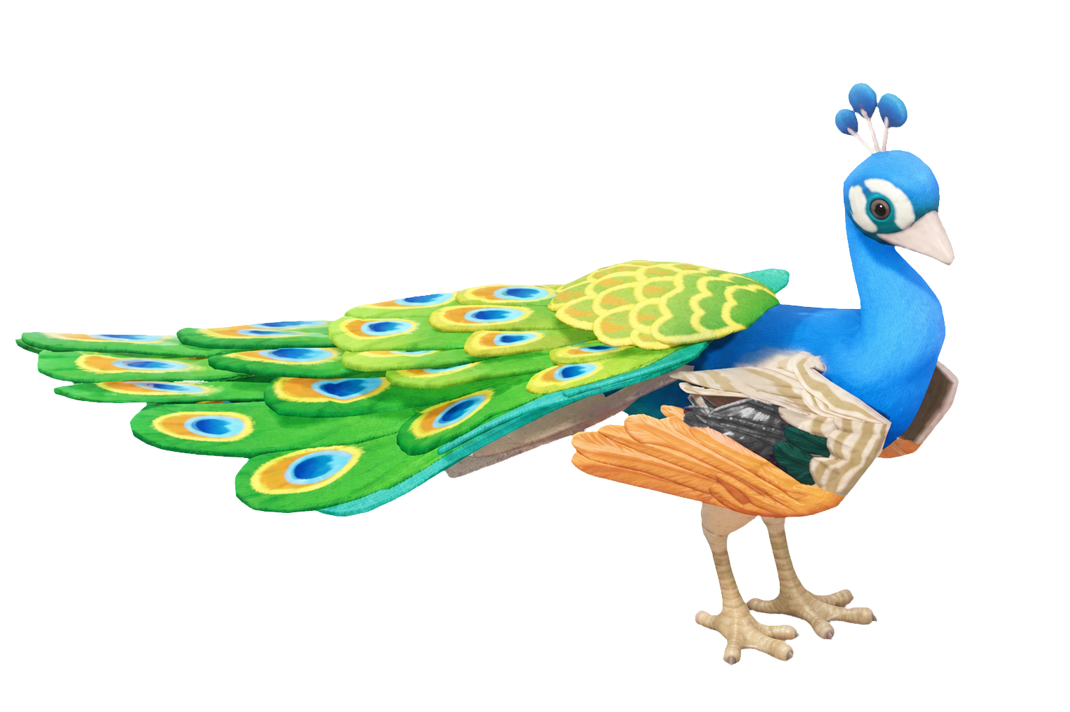 Oiseau Paon bleu dans Heartopia