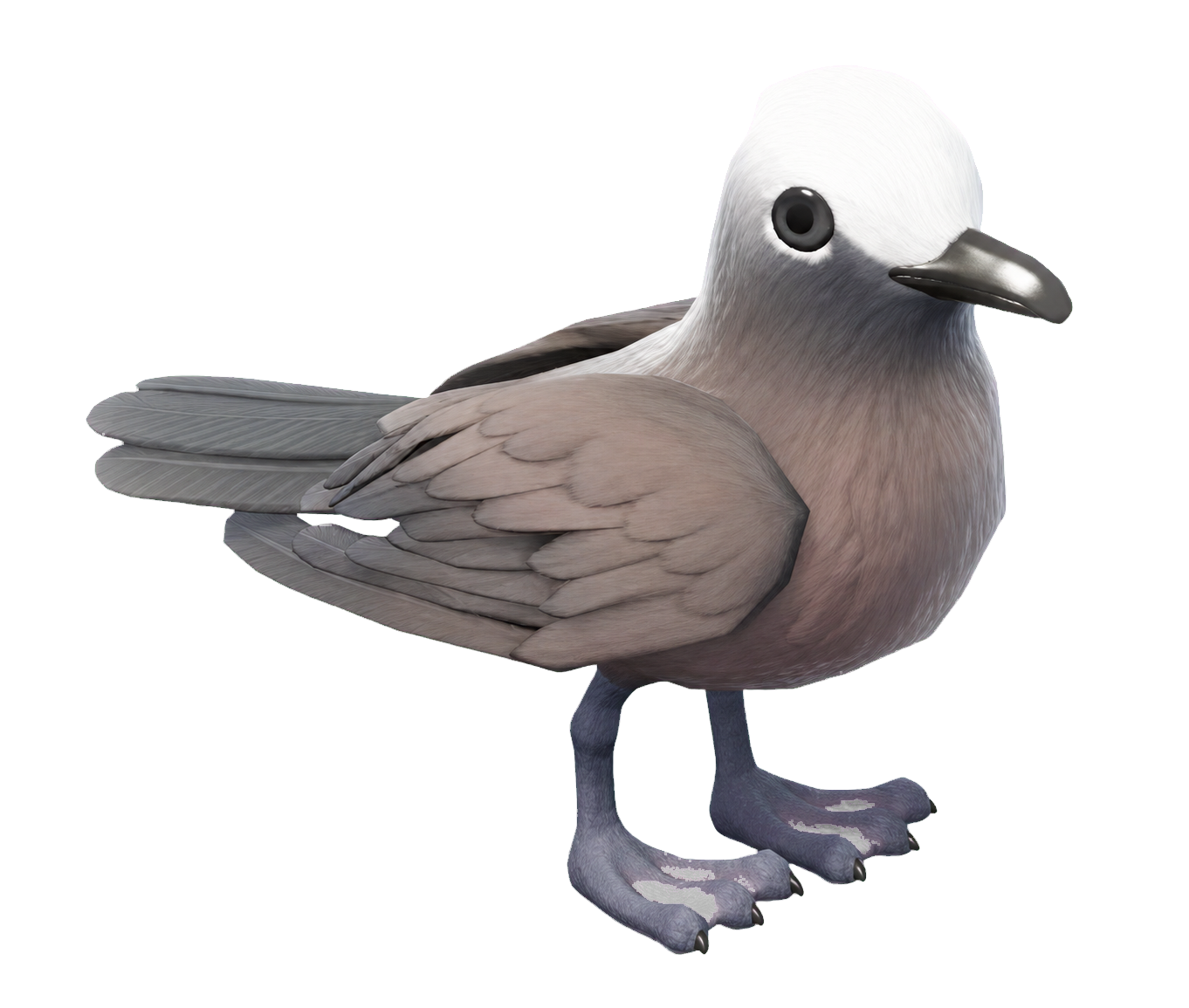 Oiseau Sterne blanche dans Heartopia