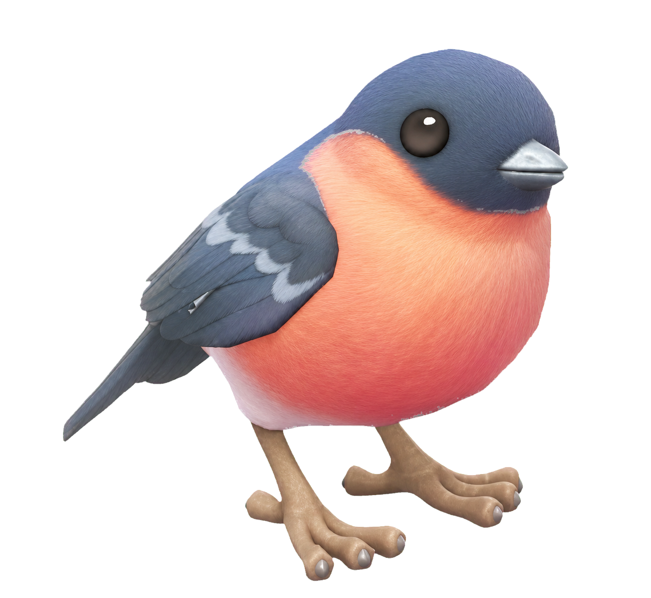 Oiseau Bouvreuil à ventre rouge dans Heartopia