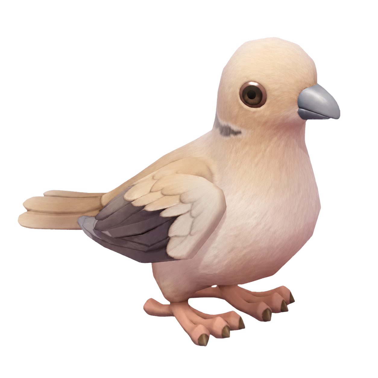 Oiseau Tourterelle grise dans Heartopia