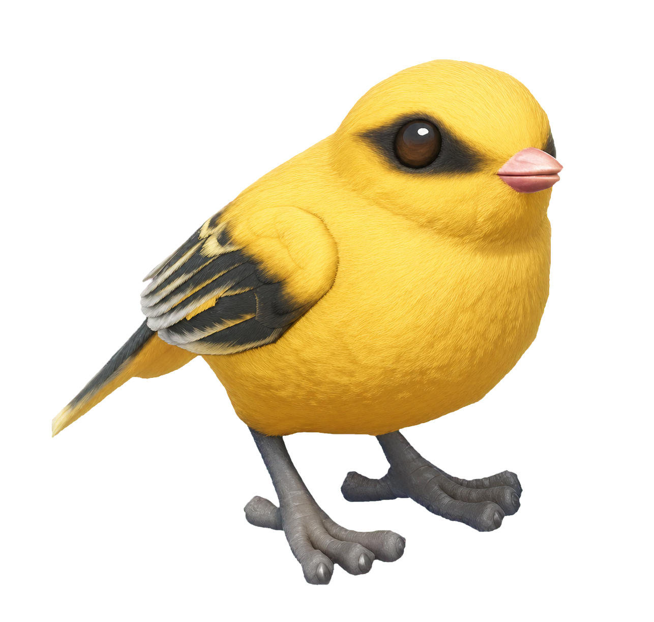 Oiseau Loriot d’Europe dans Heartopia