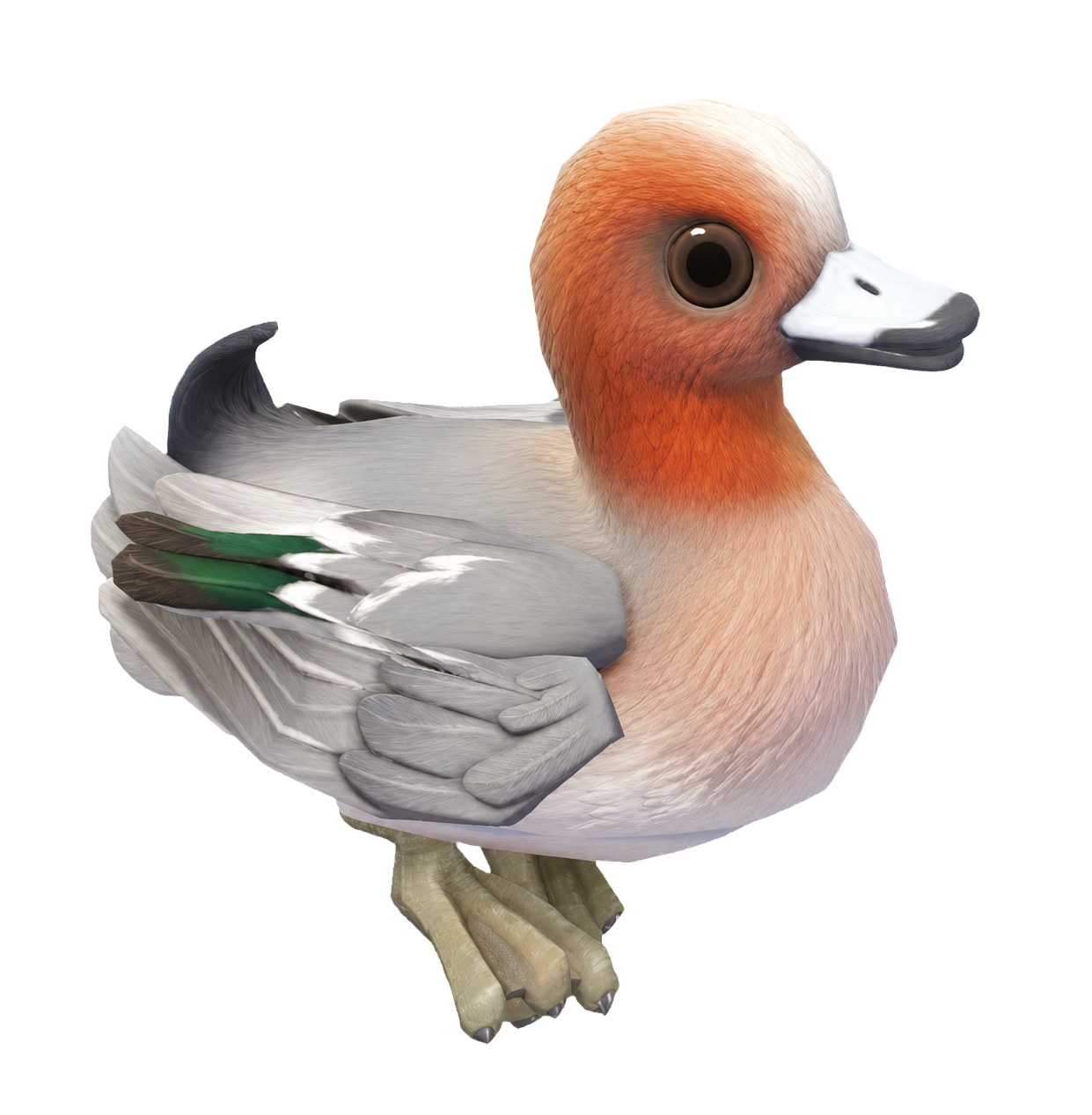 Oiseau Canard siffleur dans Heartopia