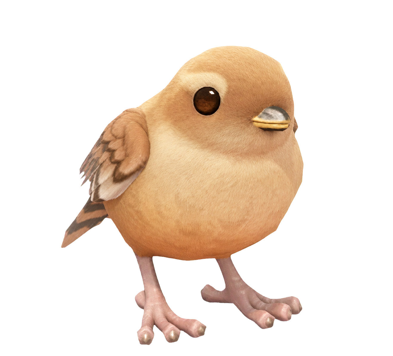 Oiseau Troglodyte dans Heartopia