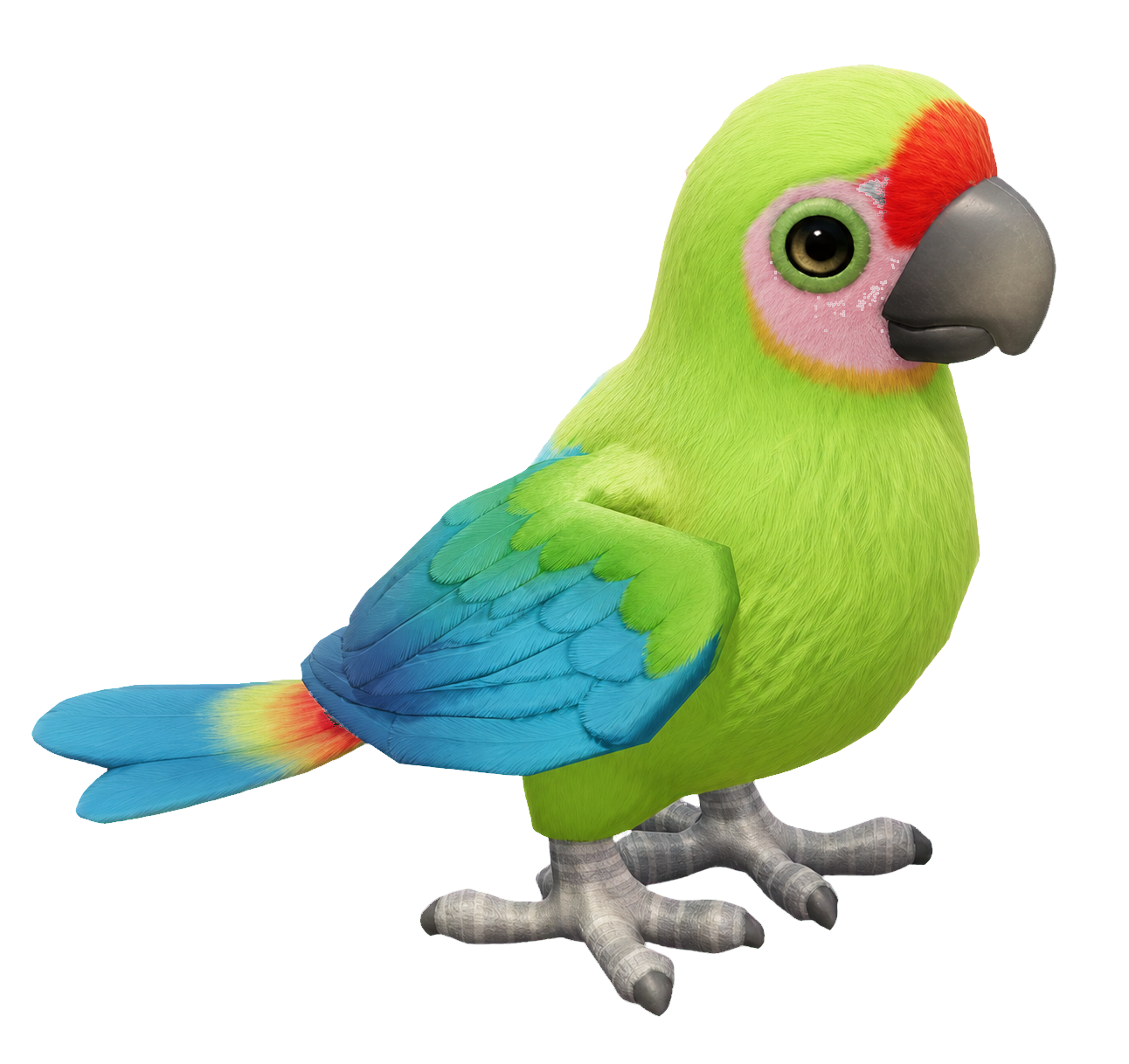 Oiseau Grand ara vert dans Heartopia