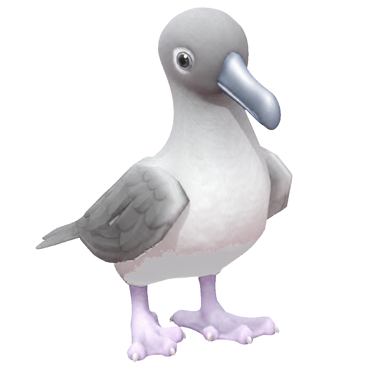 Oiseau Albatros fuligineux dans Heartopia