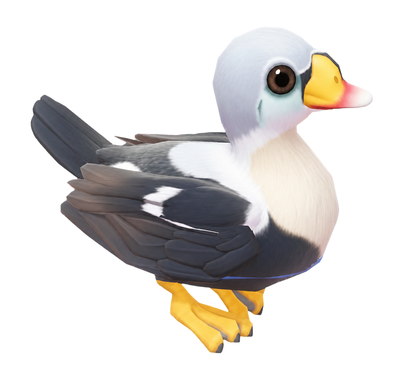 Oiseau Eider royal dans Heartopia
