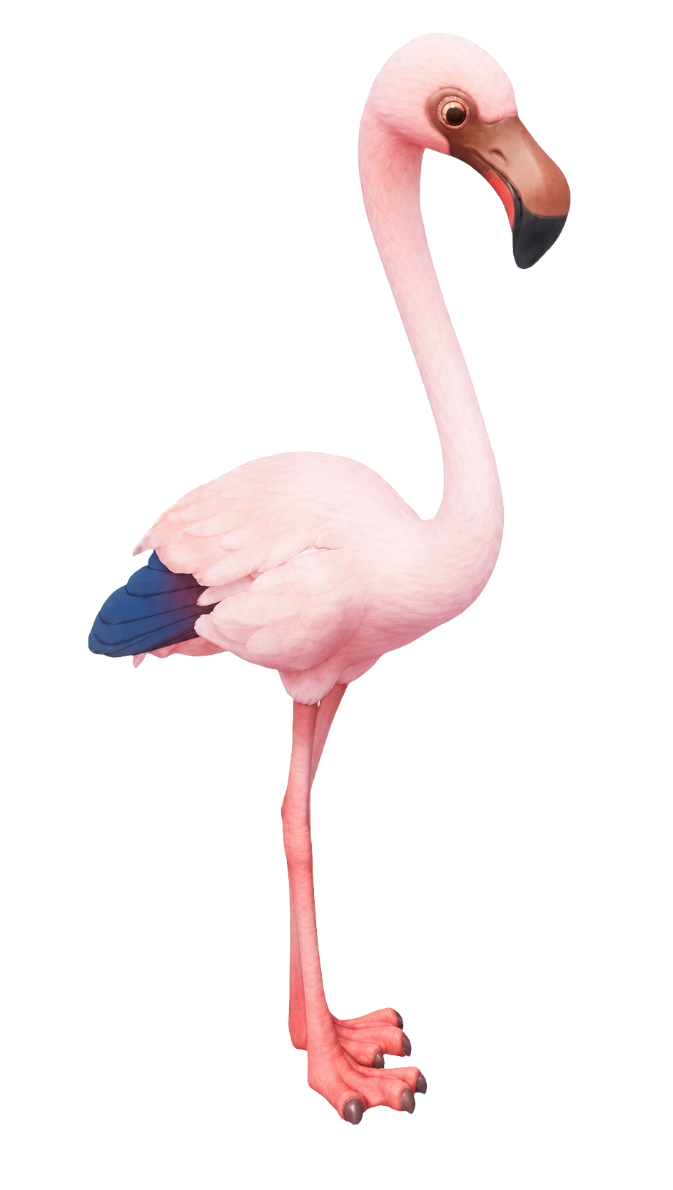 Oiseau Petit flamant dans Heartopia