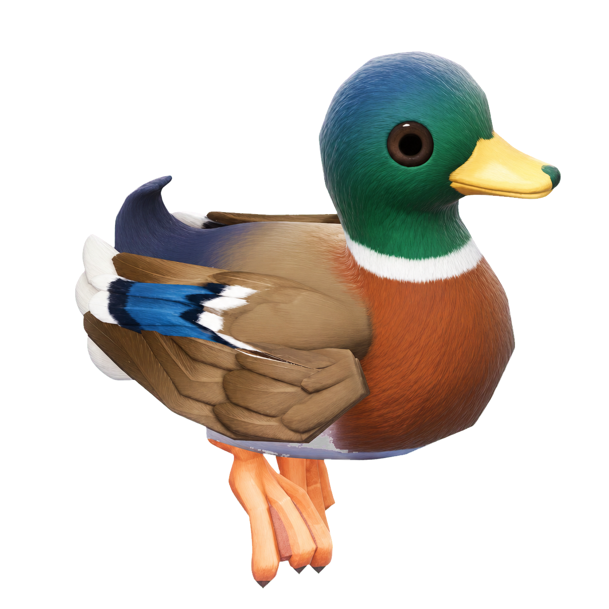 Oiseau Canard colvert dans Heartopia