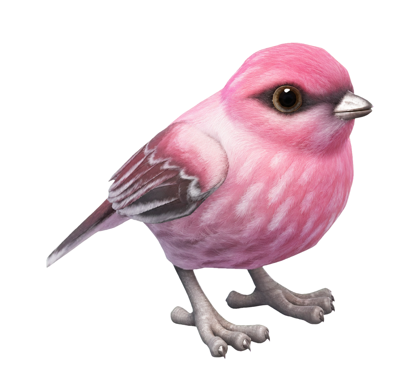 Oiseau Pinson dans Heartopia