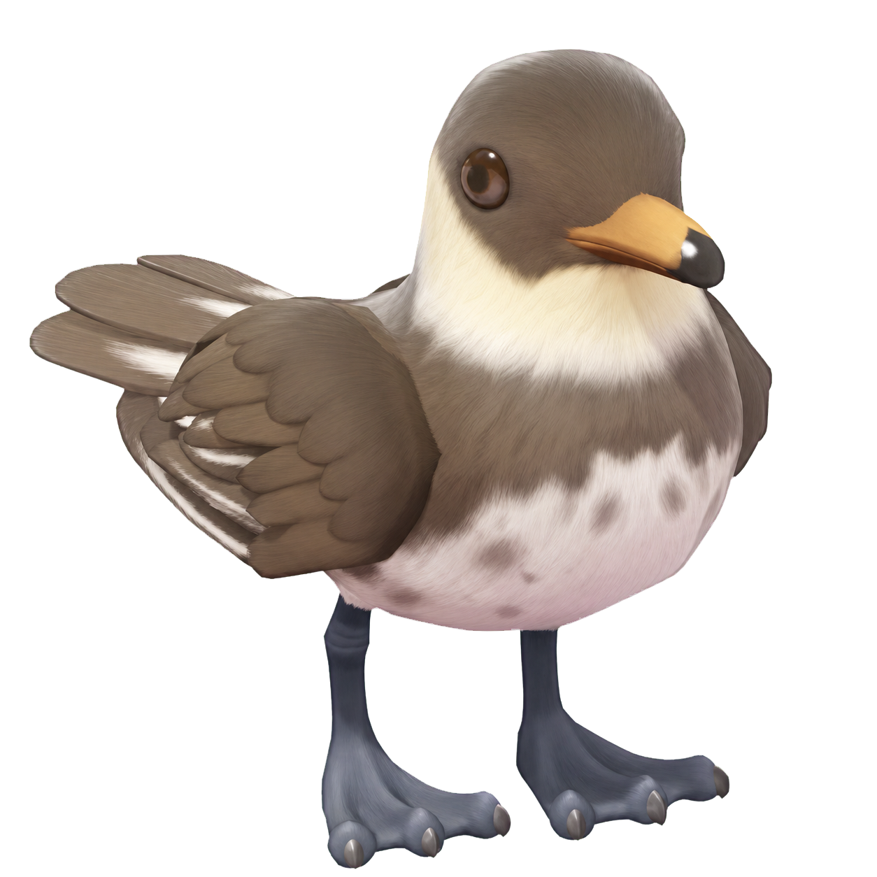 Oiseau Labbe pomarin dans Heartopia
