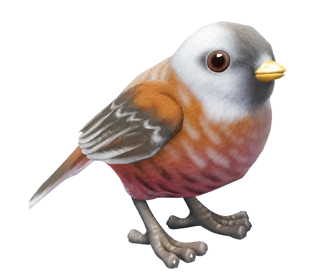 Oiseau Cardinal à couronne grise dans Heartopia