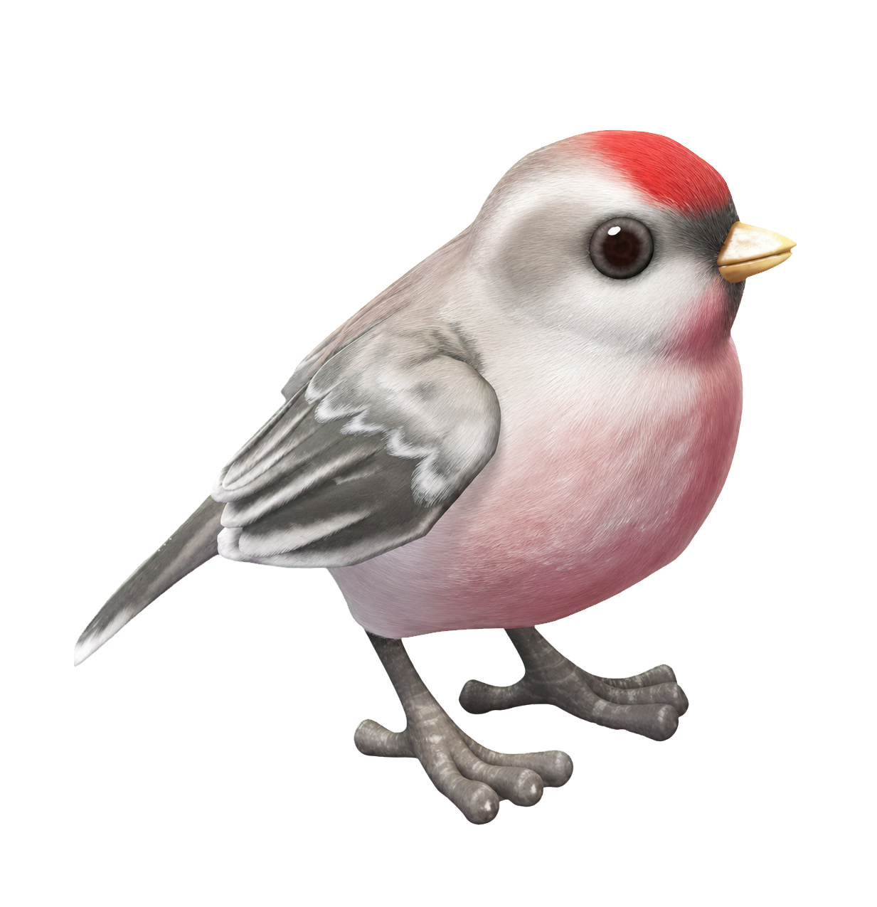 Oiseau Linotte à dos blanc dans Heartopia