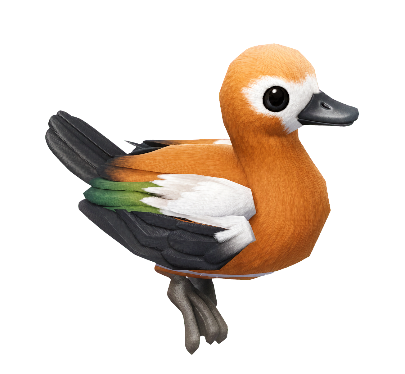 Oiseau Tadorne casarca dans Heartopia