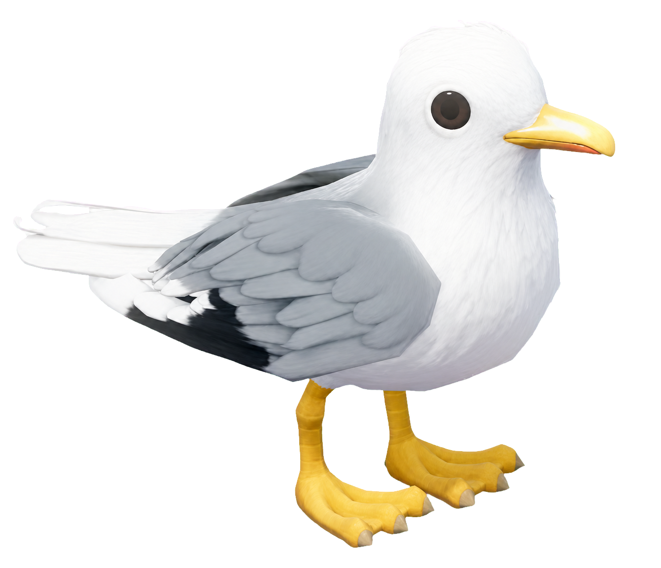 Oiseau Mouette dans Heartopia