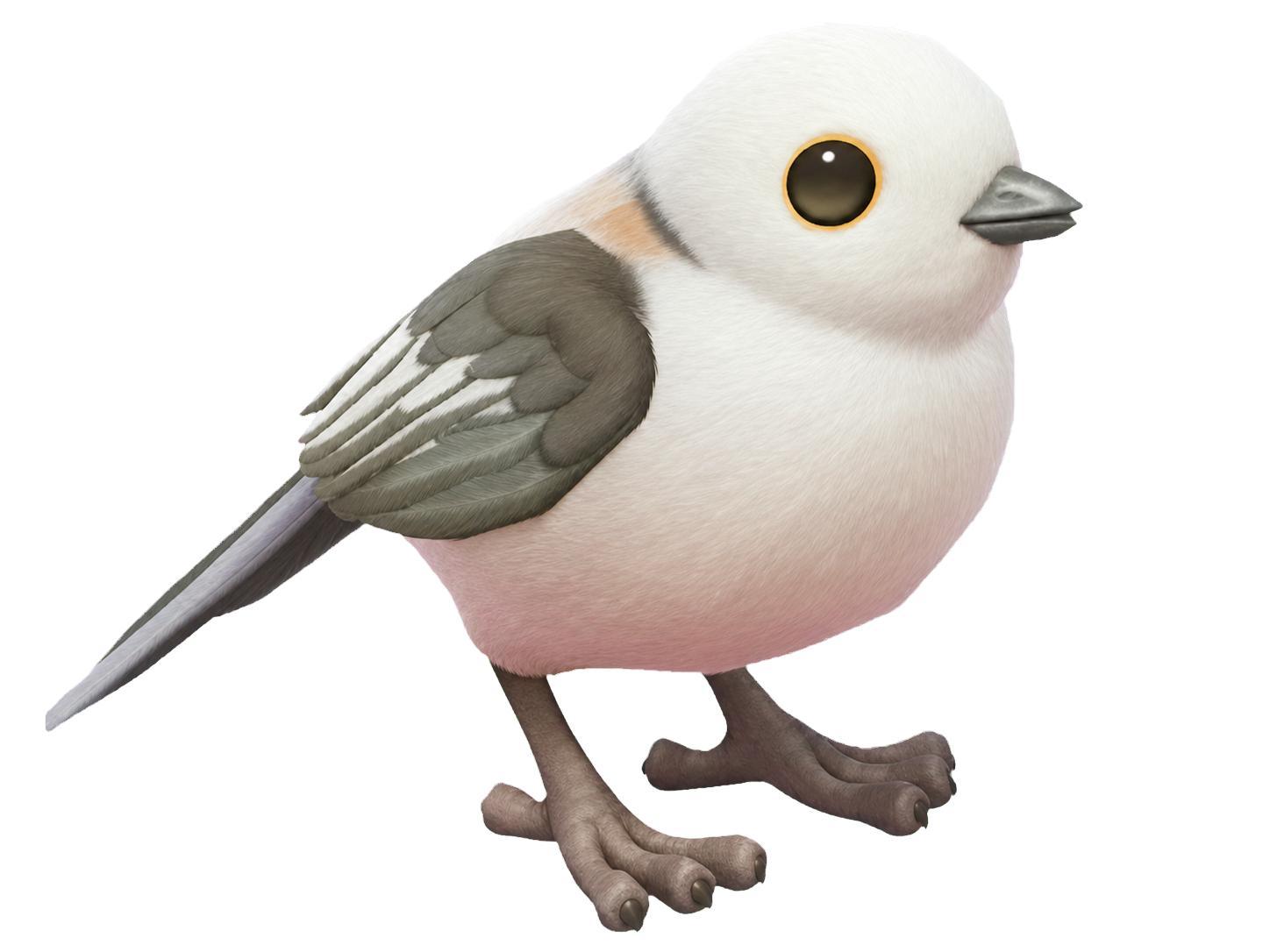 Oiseau Orite à gorge d’argent dans Heartopia