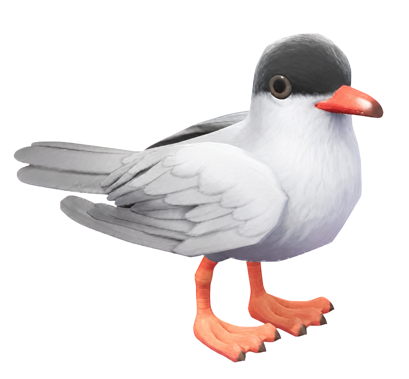 Oiseau Sterne dans Heartopia