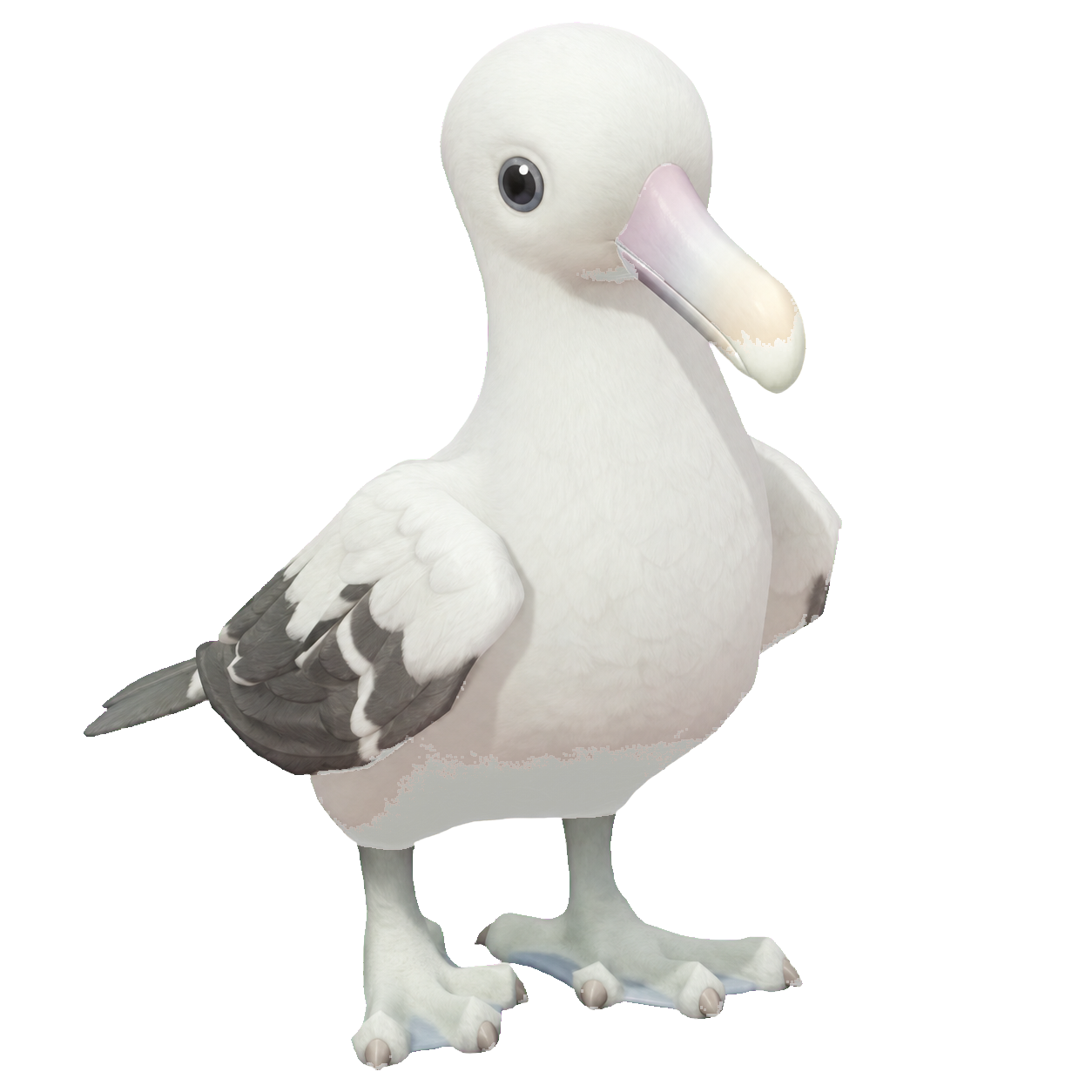 Oiseau Albatros hurleur dans Heartopia