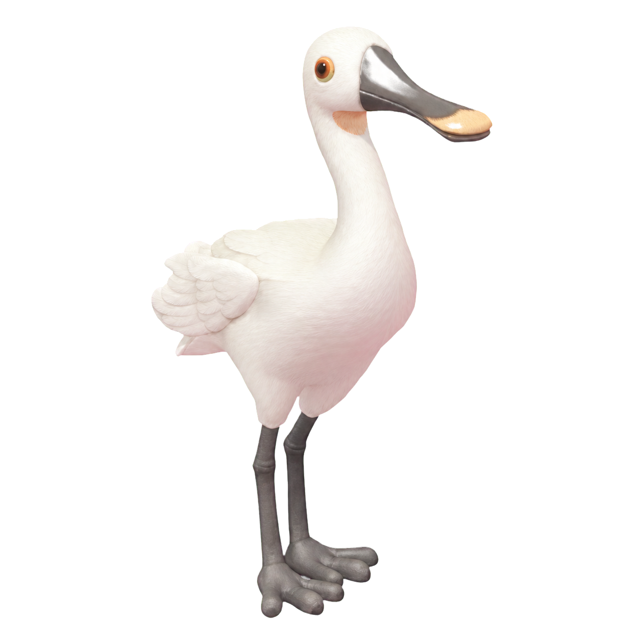Oiseau Spatule blanche dans Heartopia