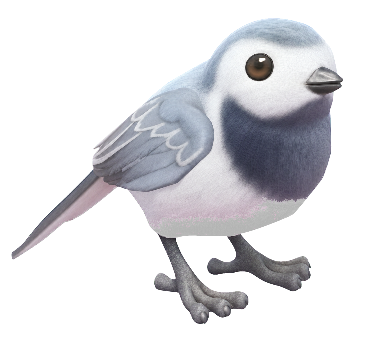 Oiseau Bergeronette grise dans Heartopia
