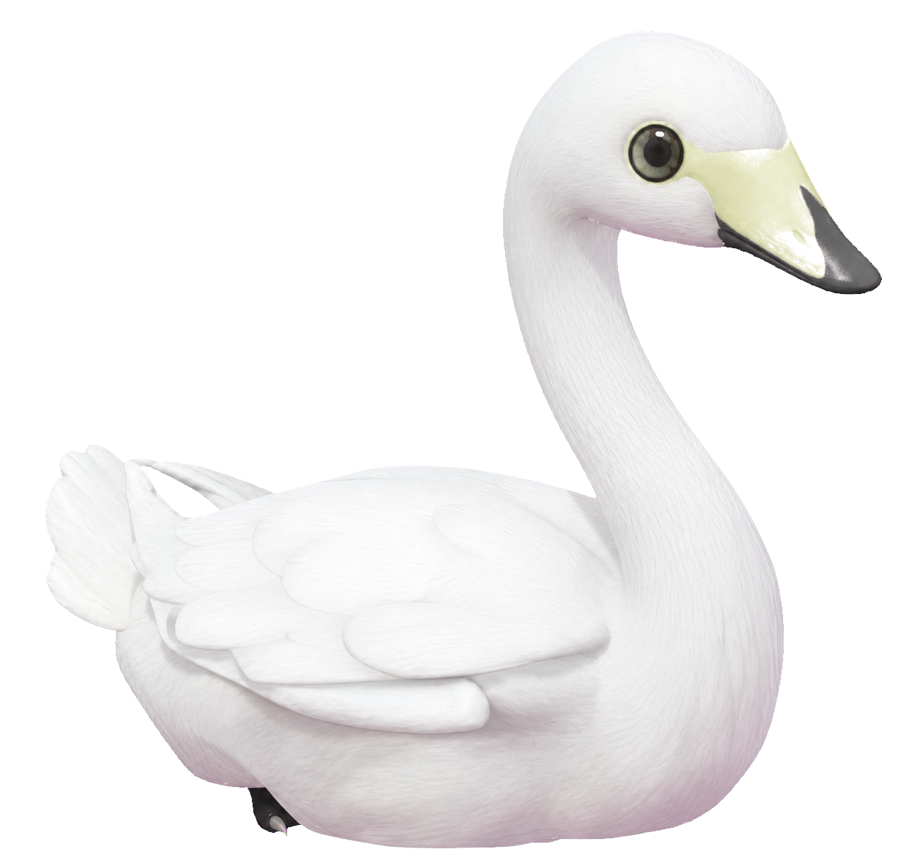 Oiseau Cygne grand dans Heartopia