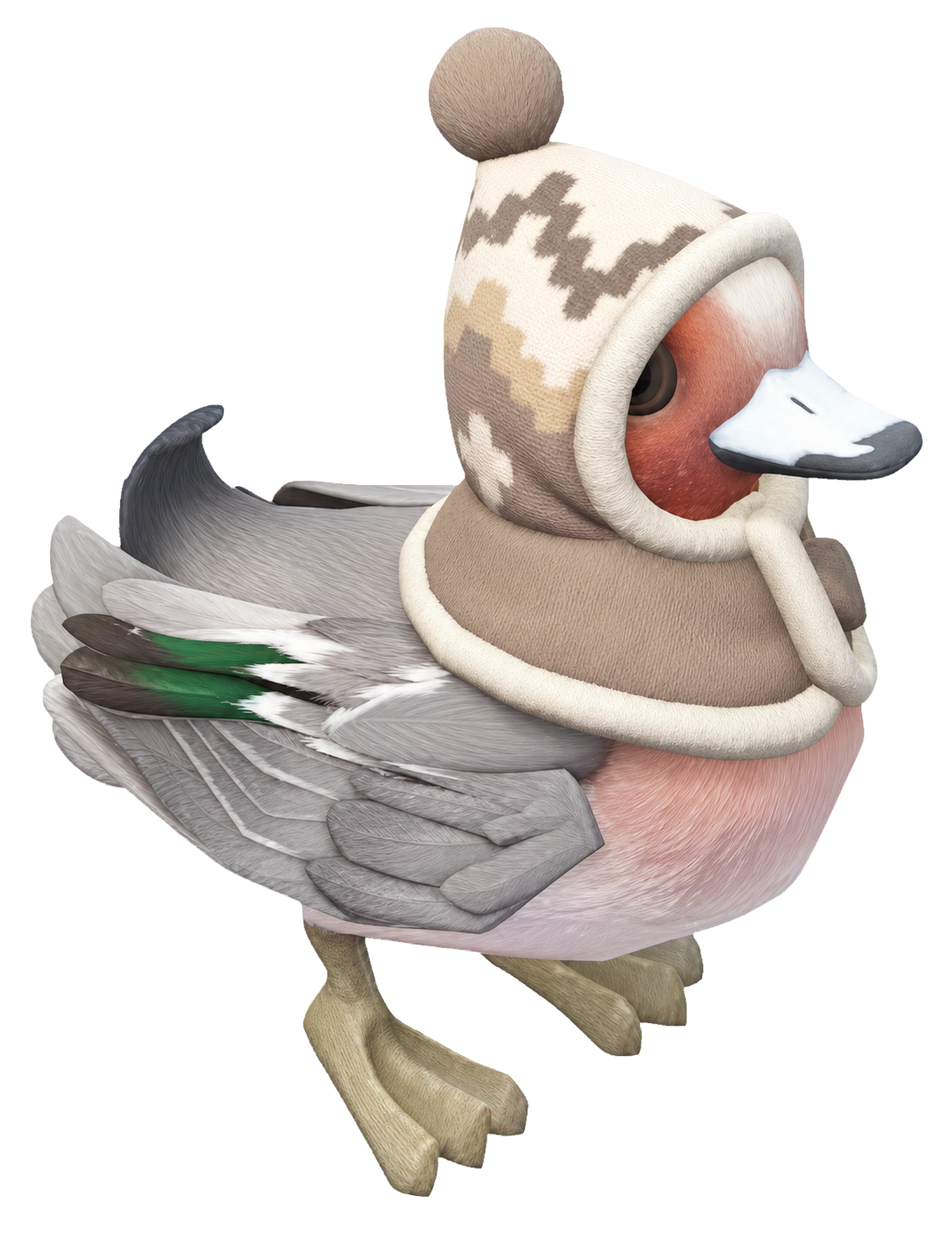 Oiseau Canard siffleur d'hiver dans Heartopia