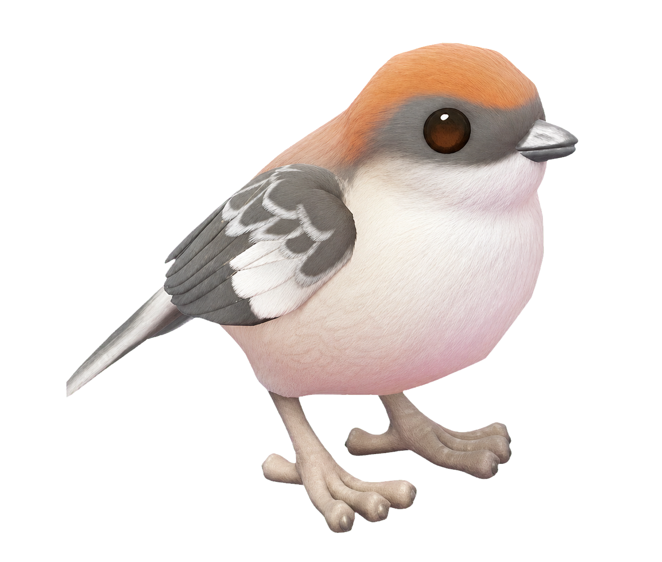 Oiseau Pie-grèche à tête rousse dans Heartopia